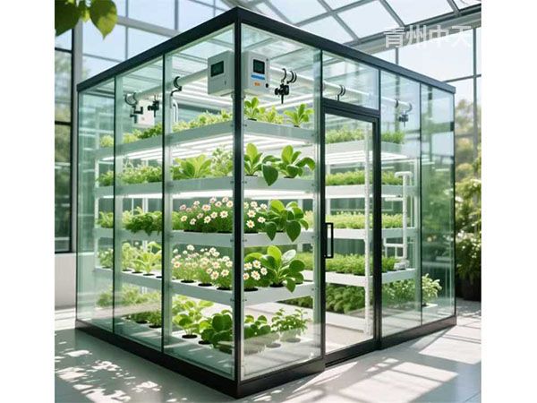 植物工廠