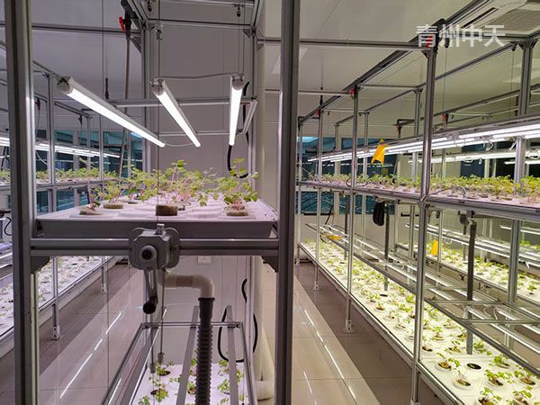 植物工廠